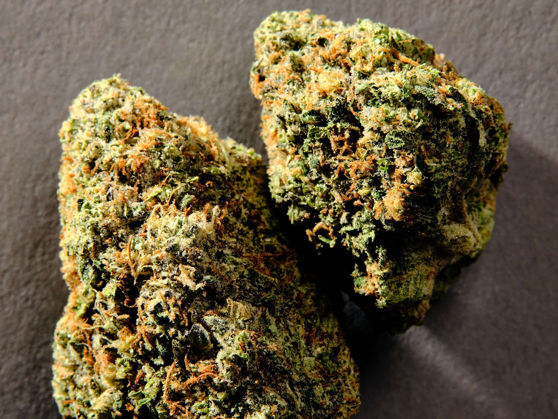 Fatso_3500px-Long-Edge_071_2020-10-15-Smokes-Jokes-Bud-Shots-1-scaled